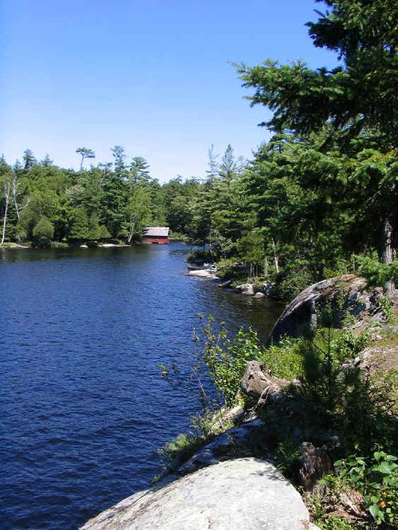 Osprey Island from the Cottage