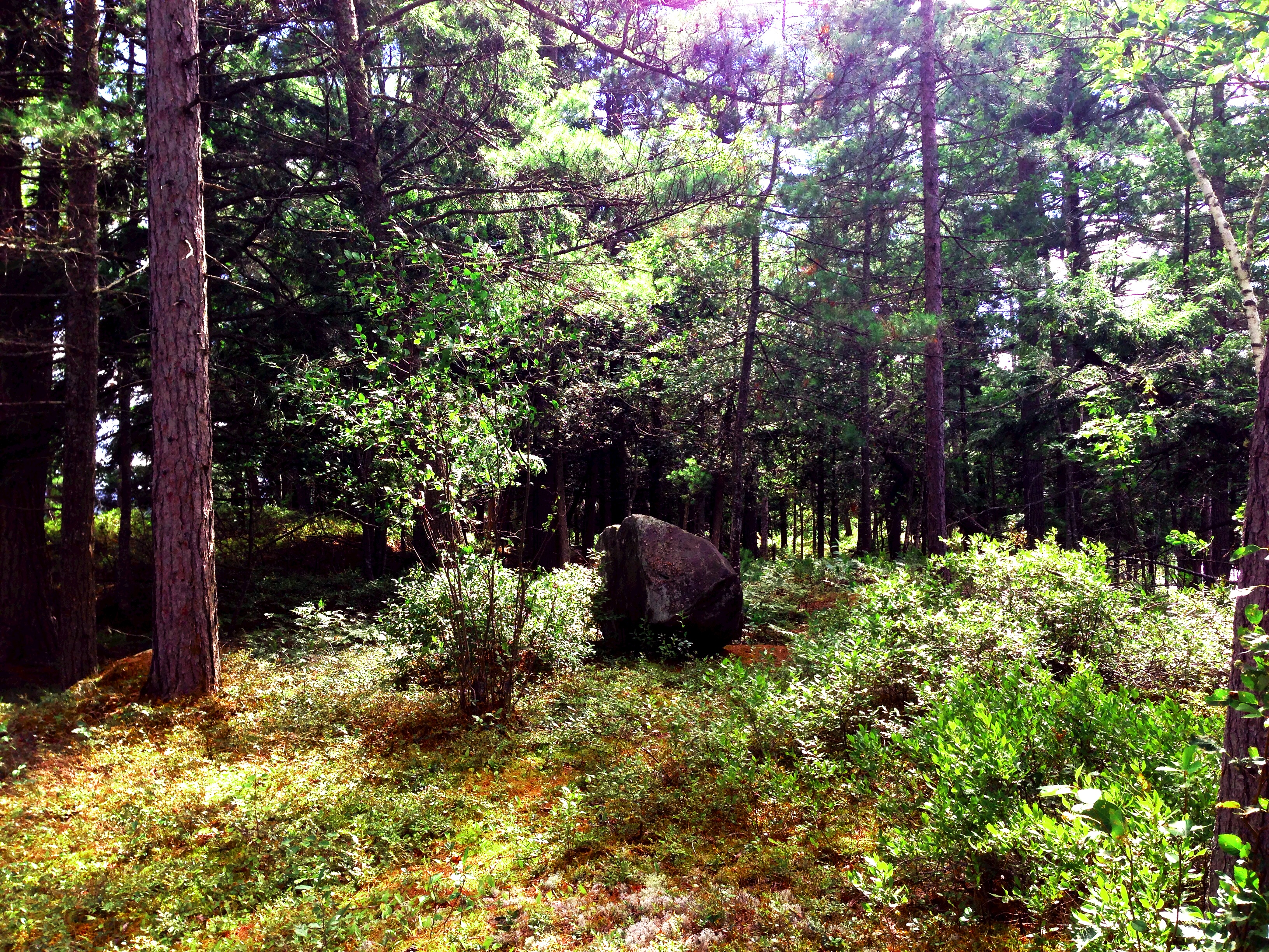 Raquette Lake History Saint Hubert S Isle