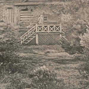 1897_Osprey_detail1