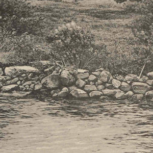 1897_Osprey_detail3