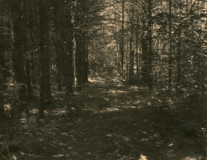 Unknown-8L